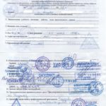 Справка для поступления в колледж